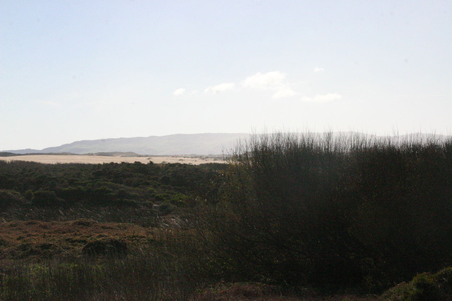Oso Flaco Boardwalk